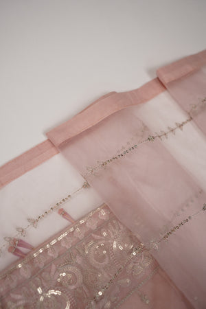Tehwar - Luxury Organza Outfit - Festive Collection - Ready to Wear - Eid25 - TEHV8D2-SD
