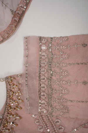 Tehwar - Luxury Organza Outfit - Festive Collection - Ready to Wear - Eid25 - TEHV8D2-SD