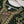 Husan e Jahan - Luxury Festive Collection with Crushed Sharara - Ready to Wear - SD-HEJ-V4-D8