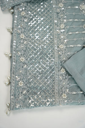 Tehwar - Luxury Organza Outfit - Festive Collection - Ready to Wear - Eid25 - TEHV7D4-SD