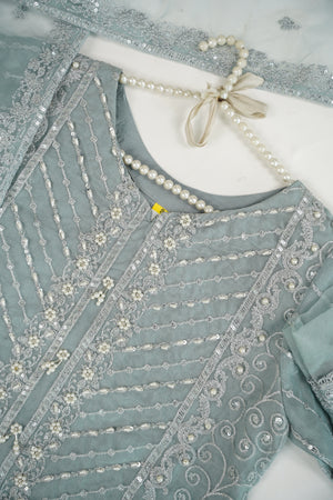 Tehwar - Luxury Organza Outfit - Festive Collection - Ready to Wear - Eid25 - TEHV7D4-SD
