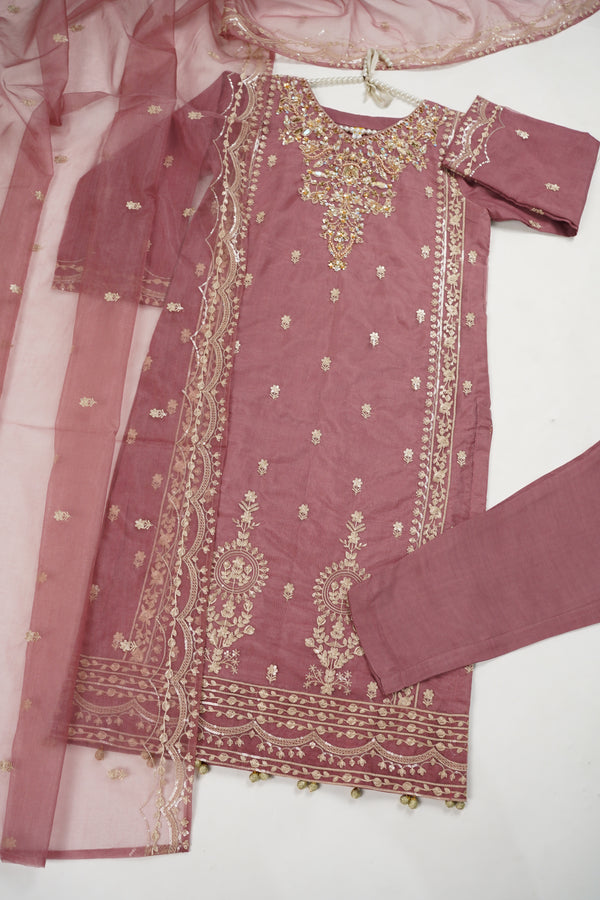 Tehwar - Luxury Organza Outfit - Festive Collection - Ready to Wear - V4 - D5 - Eid25-05