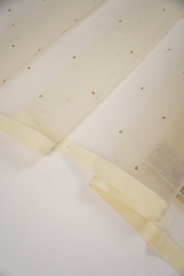 Khaas - Adda Work - Luxury Organza Outfit with Organza Dupatta - Ready to Wear  SB238 - Eid Volume 1