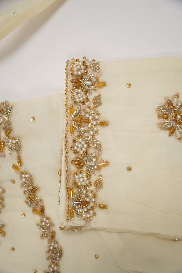 Khaas - Adda Work - Luxury Organza Outfit with Organza Dupatta - Ready to Wear  SB238 - Eid Volume 1