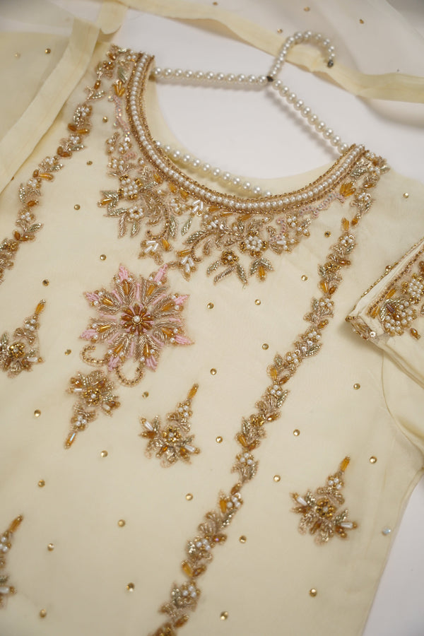 Khaas - Adda Work - Luxury Organza Outfit with Organza Dupatta - Ready to Wear  SB238 - Eid Volume 1