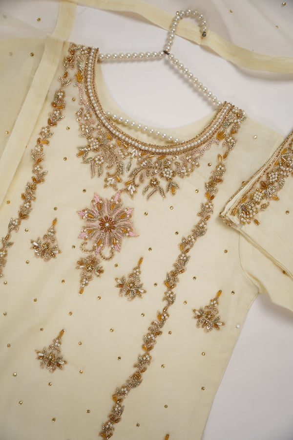 Khaas - Adda Work - Luxury Organza Outfit with Organza Dupatta - Ready to Wear  SB238 - Eid Volume 1