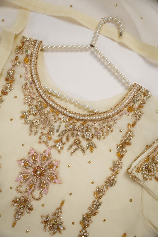 Khaas - Adda Work - Luxury Organza Outfit with Organza Dupatta - Ready to Wear  SB238 - Eid Volume 1