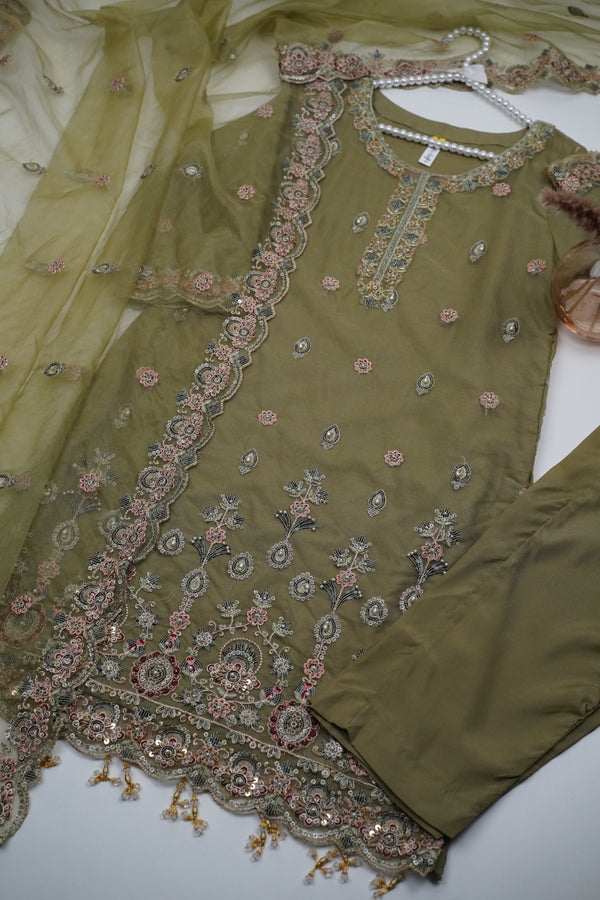 Tehwar Basics - Festive Collection - Organza - Ready to Wear