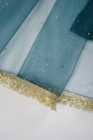 Khaas - Luxury Sheesha Silk Outfit - Hand Work - Ready to Wear SD361