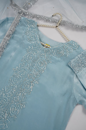 Khaas - Luxury Sheesha Silk Outfit - Hand Work - Ready to Wear MC358- Eid Volume 4
