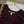 Khaas - Luxury Sheesha Silk Outfit - Hand Work - Ready to Wear - SD357