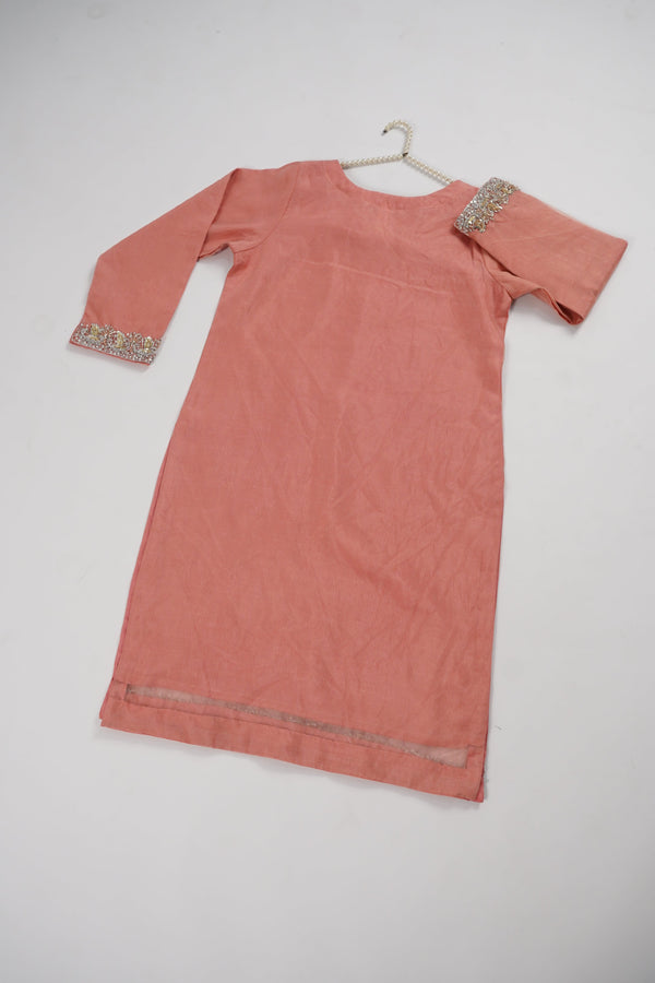 Khaas - Luxury Organza Outfit - Hand Work - Ready to Wear MC363 - Eid Volume 4