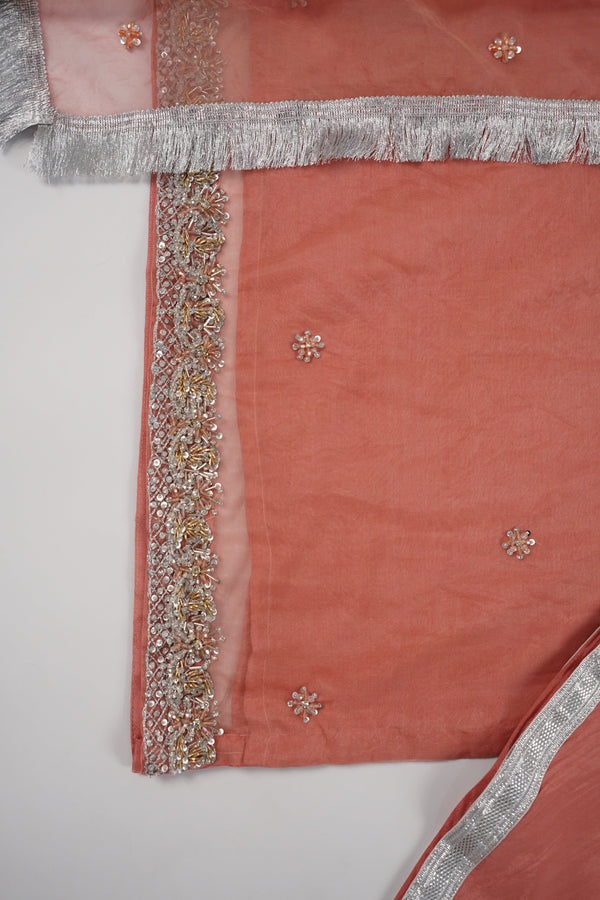 Khaas - Luxury Organza Outfit - Hand Work - Ready to Wear MC363 - Eid Volume 4