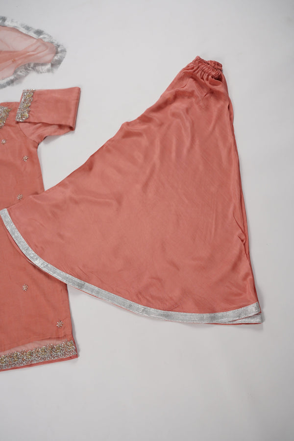 Khaas - Luxury Organza Outfit - Hand Work - Ready to Wear MC363 - Eid Volume 4