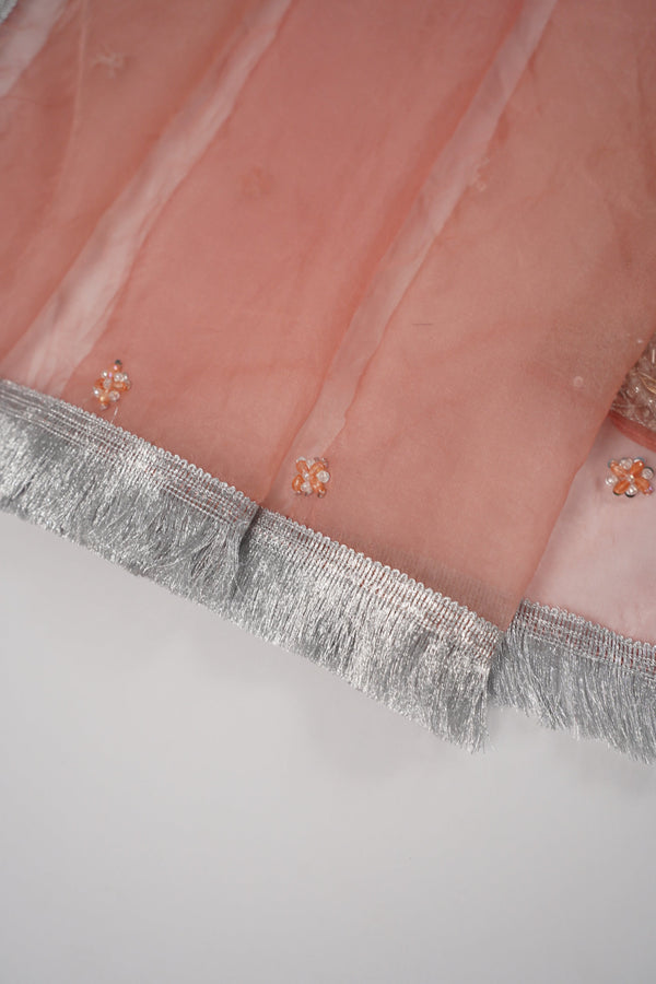 Khaas - Luxury Organza Outfit - Hand Work - Ready to Wear MC363 - Eid Volume 4
