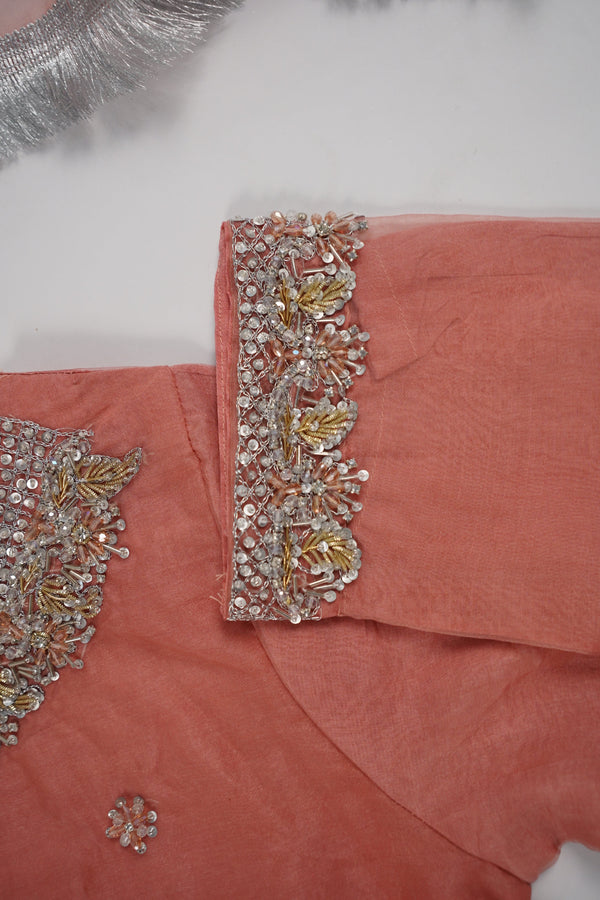 Khaas - Luxury Organza Outfit - Hand Work - Ready to Wear MC363 - Eid Volume 4