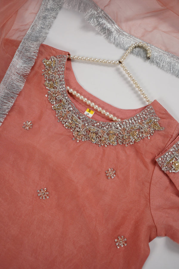 Khaas - Luxury Organza Outfit - Hand Work - Ready to Wear MC363 - Eid Volume 4
