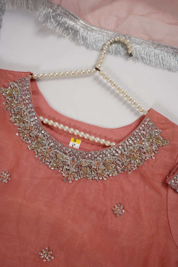Khaas - Luxury Organza Outfit - Hand Work - Ready to Wear MC363 - Eid Volume 4