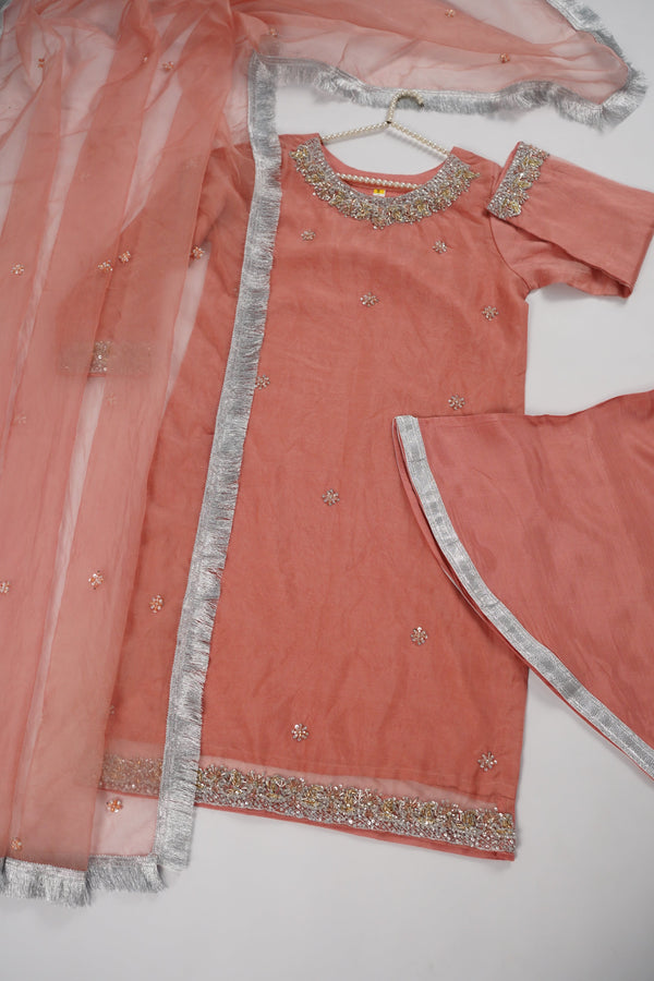 Khaas - Luxury Organza Outfit - Hand Work - Ready to Wear MC363 - Eid Volume 4