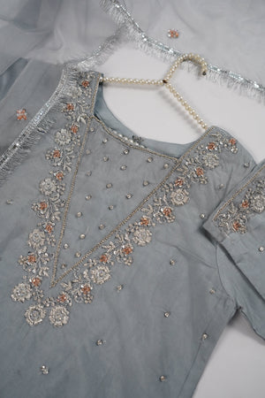 Khaas - Luxury Organza Outfit - Hand Work - Ready to Wear MC362 - Eid Volume 4