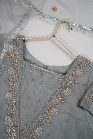 Khaas - Luxury Organza Outfit - Hand Work - Ready to Wear MC362 - Eid Volume 4