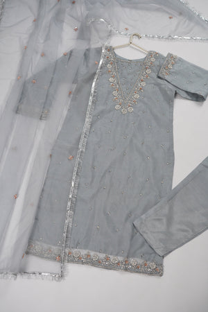 Khaas - Luxury Organza Outfit - Hand Work - Ready to Wear MC362 - Eid Volume 4