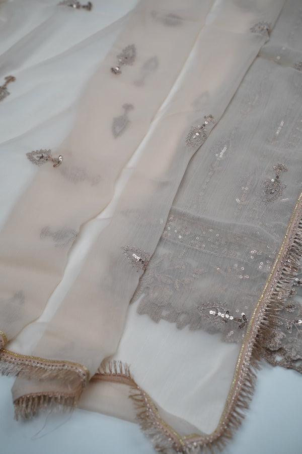 Chiffon Budget Wear Suit with Chiffon Dupatta - Ready to Wear