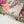 Rozi  - Exclusive Lawn  Outfit with Dupatta - Ready to Wear - SD377
