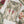Rozi  - Exclusive Lawn  Outfit with Dupatta - Ready to Wear - SD377