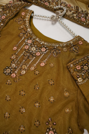 Tehwar - Luxury Organza Outfit - Festive Collection - Ready to Wear - TEHV8D3