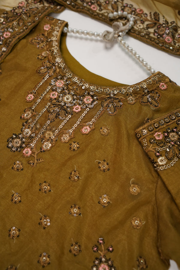 Tehwar - Luxury Organza Outfit - Festive Collection - Ready to Wear - TEHV8D3
