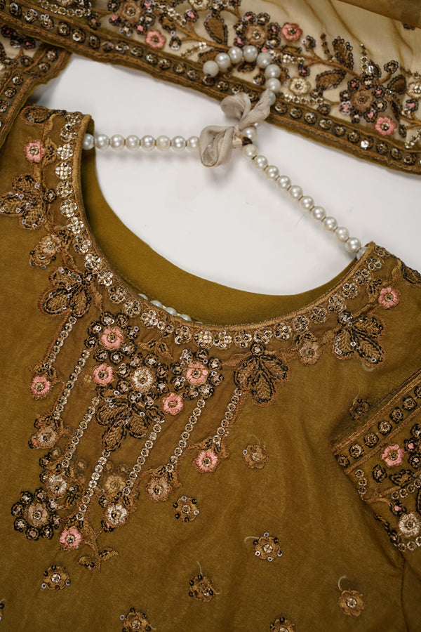 Tehwar - Luxury Organza Outfit - Festive Collection - Ready to Wear - TEHV8D3