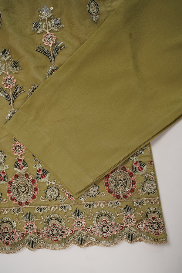 Tehwar - Luxury Organza Outfit - Festive Collection - Ready to Wear - TEHV8D4