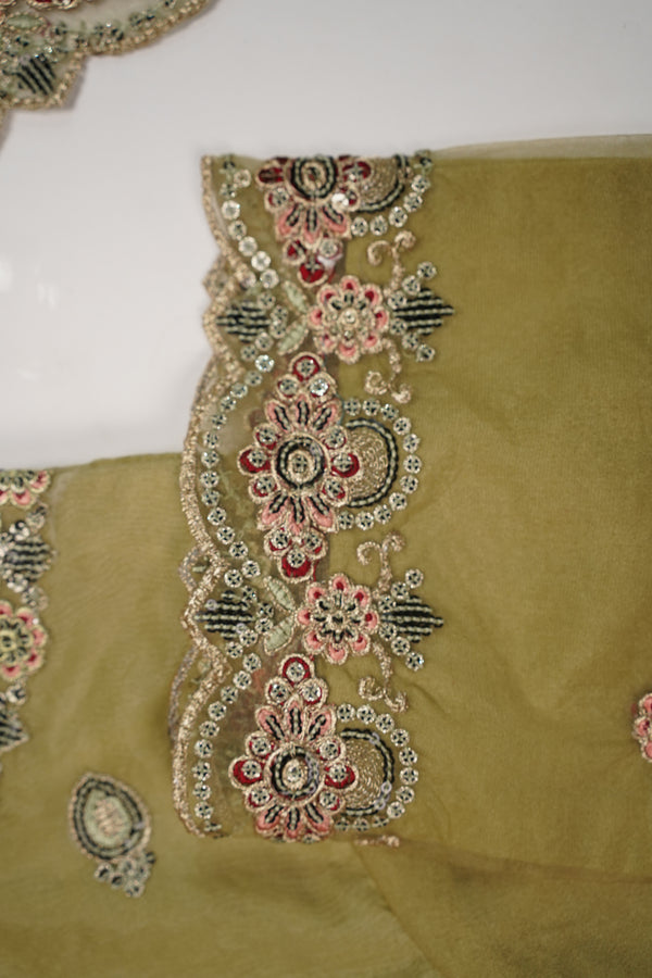 Tehwar - Luxury Organza Outfit - Festive Collection - Ready to Wear - TEHV8D4