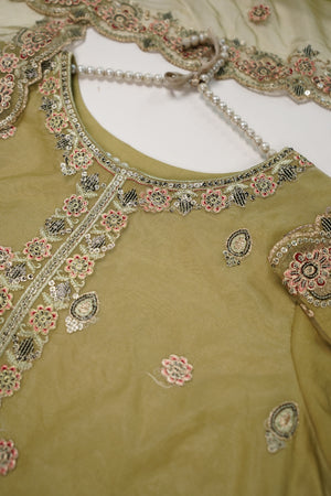 Tehwar - Luxury Organza Outfit - Festive Collection - Ready to Wear - TEHV8D4-SD
