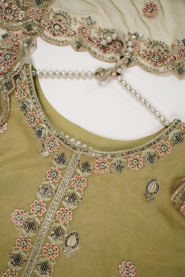 Tehwar - Luxury Organza Outfit - Festive Collection - Ready to Wear - TEHV8D4