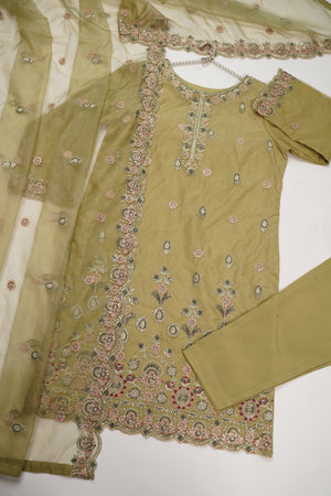 Tehwar - Luxury Organza Outfit - Festive Collection - Ready to Wear - TEHV8D4-SD