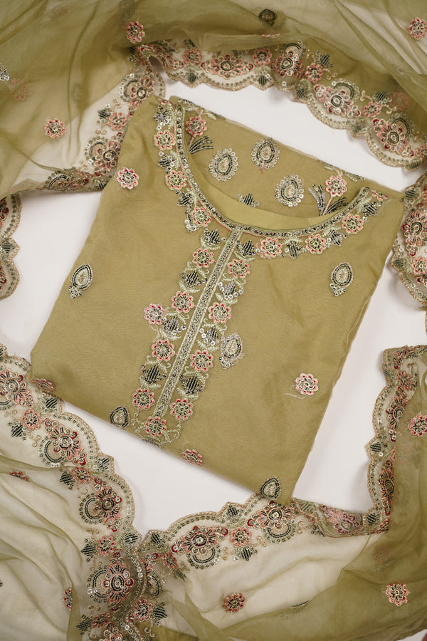 Tehwar - Luxury Organza Outfit - Festive Collection - Ready to Wear - TEHV8D4