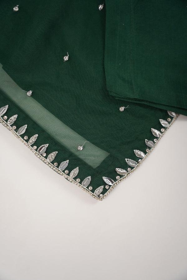 Khaas - Luxury Organza Outfit - Hand Work - Ready to Wear SD249