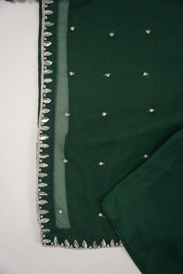 Khaas - Luxury Organza Outfit - Hand Work - Ready to Wear SD249