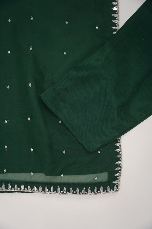 Khaas - Luxury Organza Outfit - Hand Work - Ready to Wear SD249