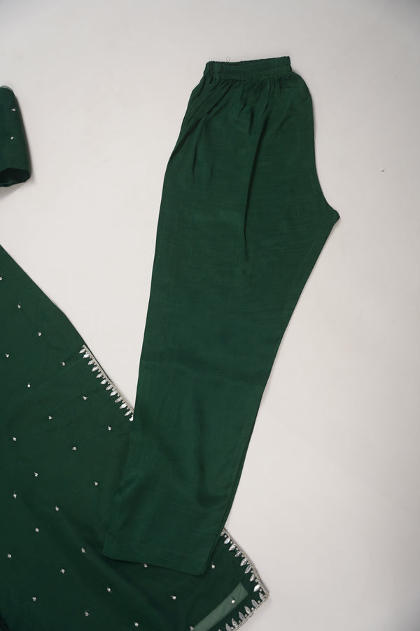 Khaas - Luxury Organza Outfit - Hand Work - Ready to Wear SD249