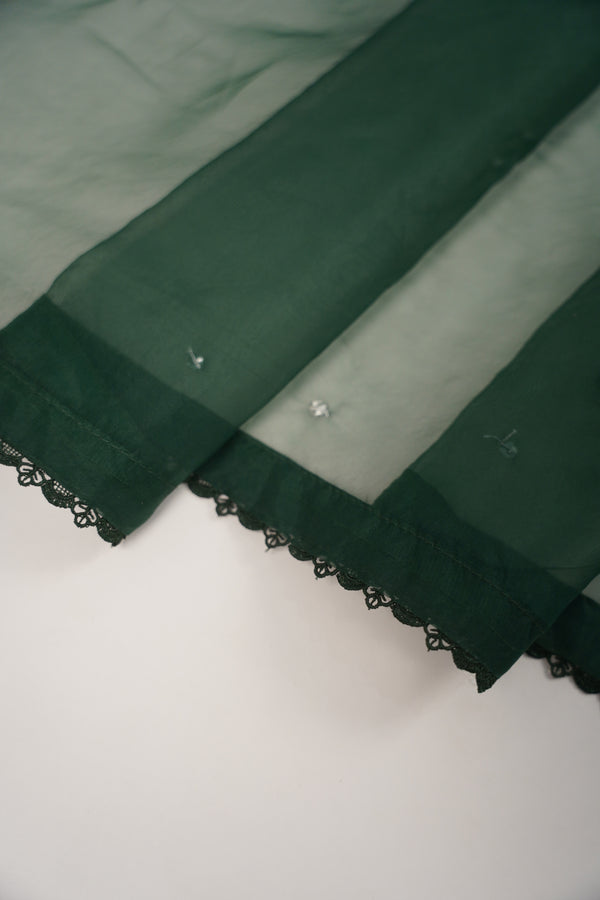 Khaas - Luxury Organza Outfit - Hand Work - Ready to Wear SD249