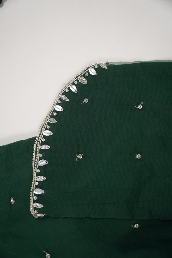 Khaas - Luxury Organza Outfit - Hand Work - Ready to Wear SD249