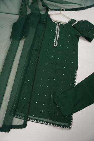 Khaas - Luxury Organza Outfit - Hand Work - Ready to Wear SD249