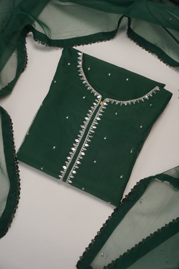 Khaas - Luxury Organza Outfit - Hand Work - Ready to Wear SD249