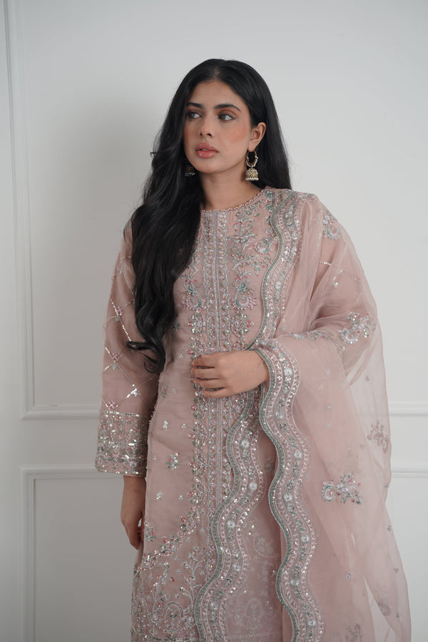 Tehwar - Luxury Organza Outfit with Organza Dupatta - Ready to Wear MC279- Eid Volume 4