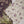 Rozi  - Exclusive Lawn  Outfit with Dupatta - Ready to Wear - SD393