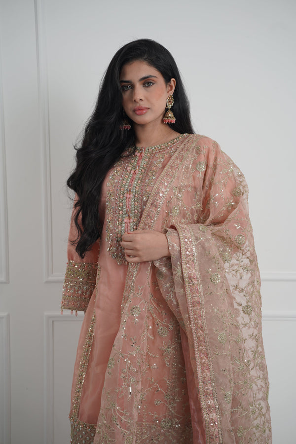 Tehwar - Luxury Organza Outfit with Organza Dupatta - Ready to Wear MC284- Eid Volume 4