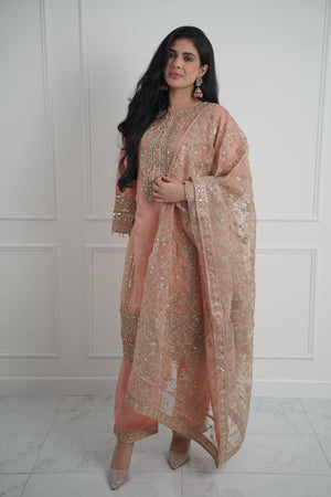 Tehwar - Luxury Organza Outfit with Organza Dupatta - Ready to Wear MC284- Eid Volume 4